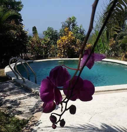 West Bali Villas-Umasari Resort Negara  Eksteriør bilde