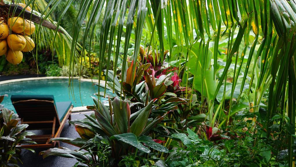 West Bali Villas-Umasari Resort Negara  Eksteriør bilde