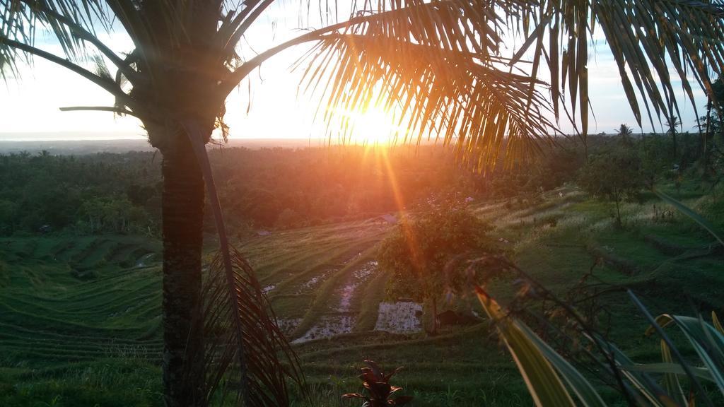 West Bali Villas-Umasari Resort Negara  Eksteriør bilde