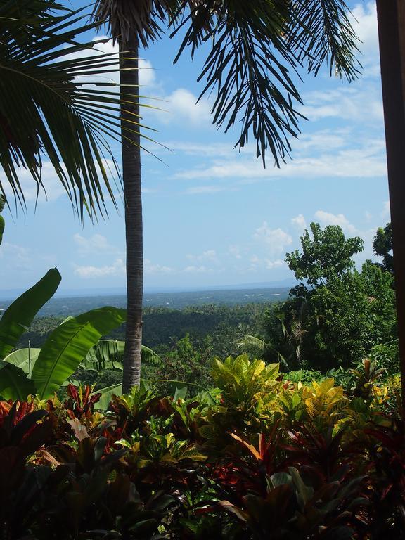 West Bali Villas-Umasari Resort Negara  Eksteriør bilde