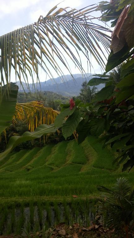 West Bali Villas-Umasari Resort Negara  Eksteriør bilde