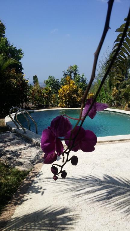 West Bali Villas-Umasari Resort Negara  Eksteriør bilde